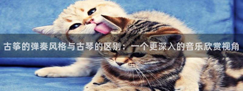 凯发k8官方旗舰店app