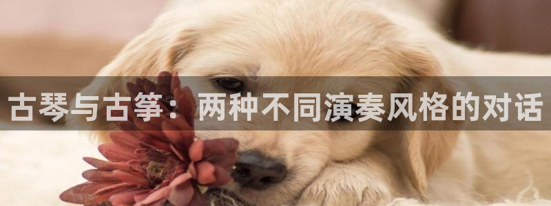 凯发k8官方：古琴与古筝：两种不同演奏风格的对话