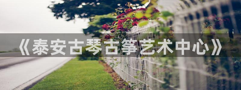 凯发网址多少：《泰安古琴古筝艺术中心》