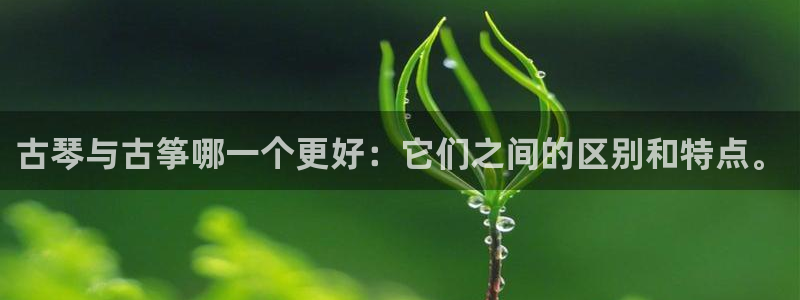 凯发k8天生赢家·一触即发：古琴与古筝哪一个更好：它们之间的