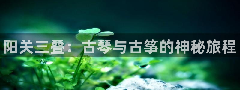 凯发app地址