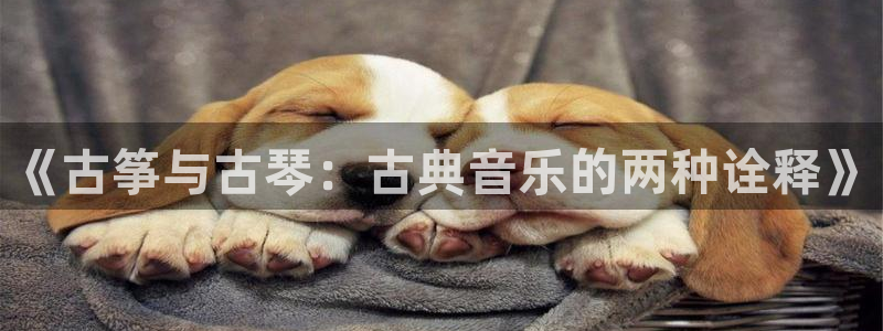 凯发手机官网客户端：《古筝与古琴：古典音乐的两种诠释》