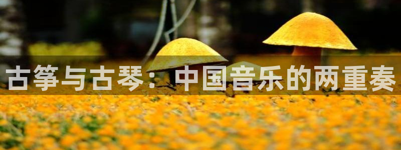 凯发网址直营