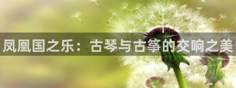 凯发手机客户端下载：凤凰国之乐：古琴与古筝的交响之美