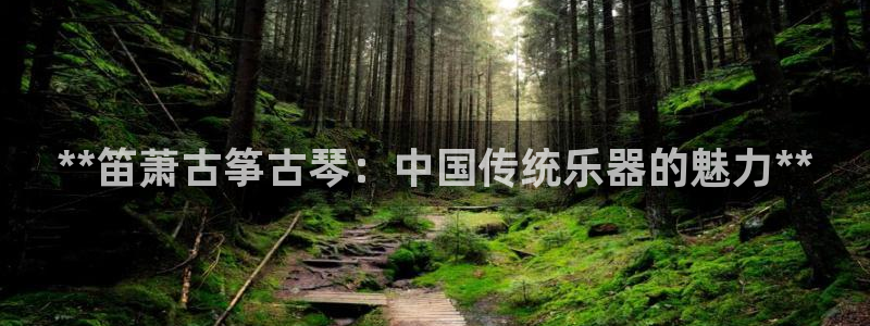 凯发网站是多少：**笛萧古筝古琴：中国传统乐器的魅力**