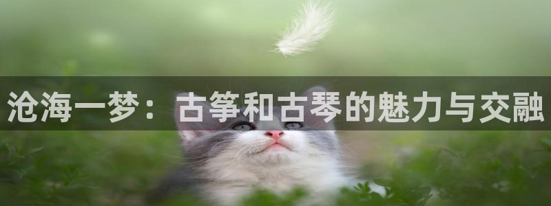 凯发国际可靠送38元