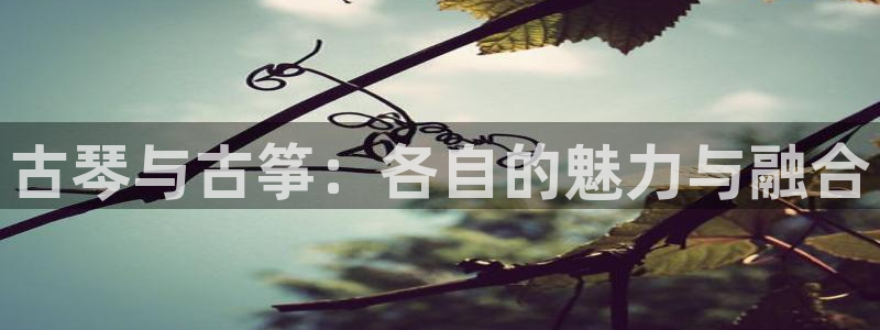 凯发官网|认准kpm：古琴与古筝：各自的魅力与融合