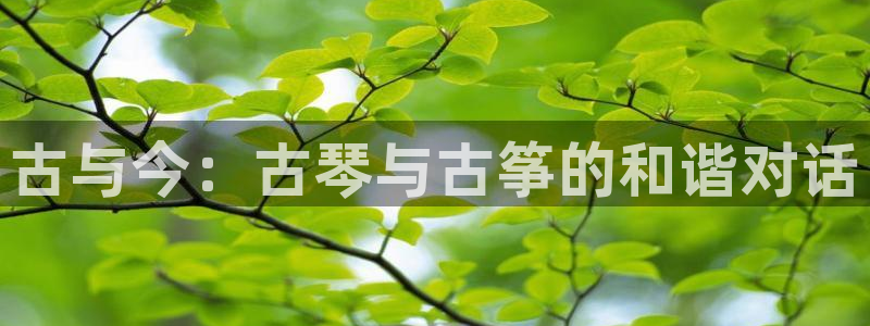 凯发k8娱乐平台能提现吗