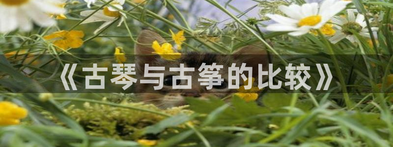 凯发k8国际娱乐版