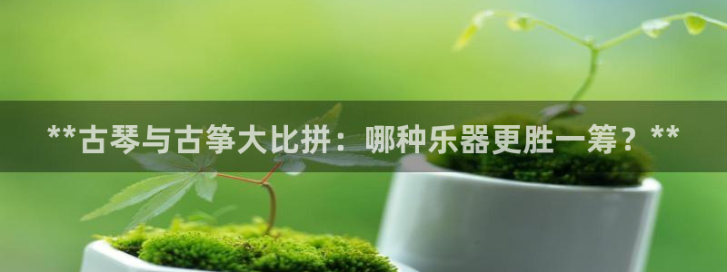 凯发官网登录手机版：**古琴与古筝大比拼：哪种乐器更胜一筹？