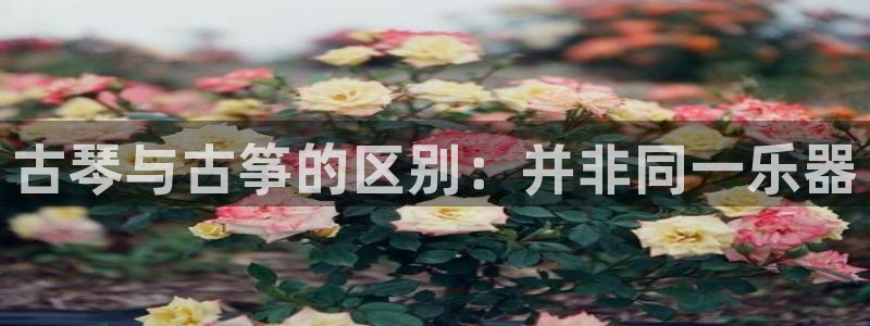 凯发k8娱乐要访问kf6819