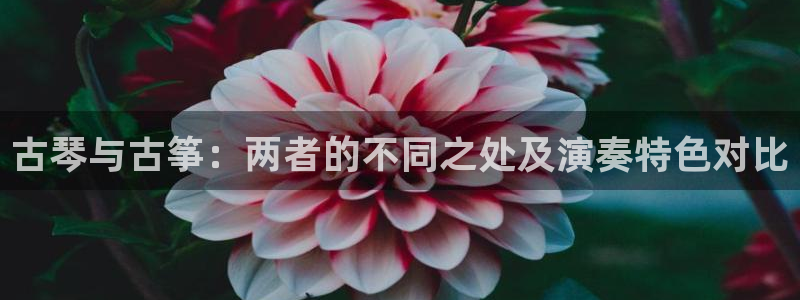 凯发app可信吗：古琴与古筝：两者的不同之处及演奏特色对比