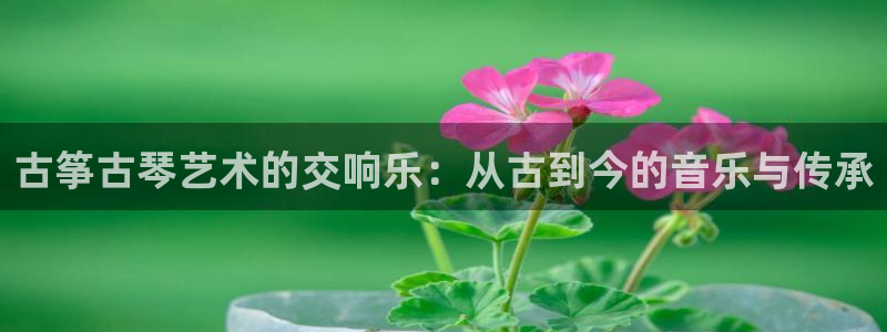 凯发k8官方：古筝古琴艺术的交响乐：从古到今的音乐与传承